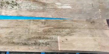 Lézeres penészeltávolítás